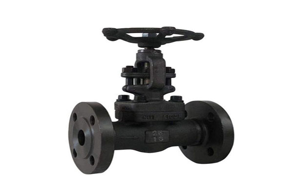 A Complete Guide To Globe Valve Installation And Repair